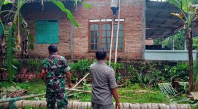 Angin Kencang Terjang Pacitan, Atap Rumah Beterbangan