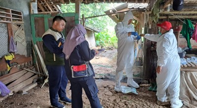 Peternak di Ponorogo Wajib Waspada! 3 Ekor Sapi Dilaporkan Terindikasi LSD