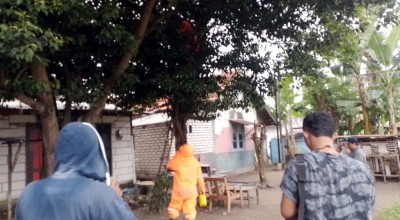 3 Petugas Damkar Bangkalan Dilarikan ke RS Usai Disengat Tawon yang Dievakuasi