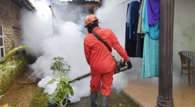 Warga Pacitan Meninggal Diduga DBD, Penjelasan Dinkes Tegas!