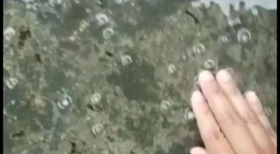 Beredar Video Hujan Es, Disebut di Trawas Mojokerto