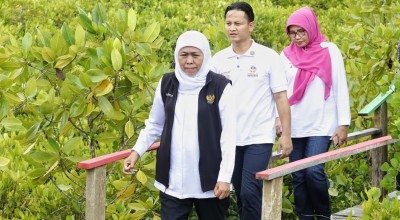 Mengintip Kesiapan Trenggalek Jadi Tuan Rumah Festival Mangrove se Jawa