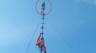 Heboh Sanca Kembang 3 Meter Melilit Tower Wifi, Internet Sekampung Terganggu
