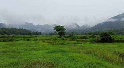Miliki Warisan Geologi, Pulau Bawean Digagas Jadi Geopark