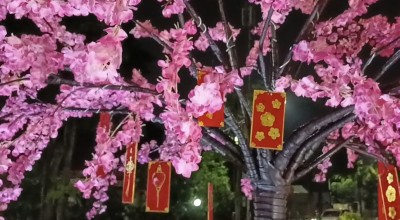 Halo Rek! Besok Ada Festival Cap Go Meh di Surabaya Lho