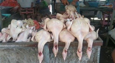 Jelang Ramadan, Harga Daging Ayam di Jombang Merangkak Naik