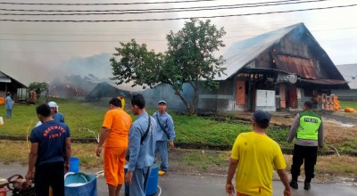 Kandang Ayam PT Japfa Comfeed di Mojokerto Terbakar