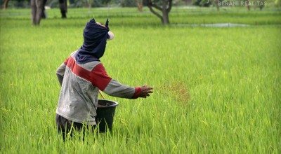 Pupuk Subsidi Terbatas, Ini Penjelasan Kadis Pertanian Gresik