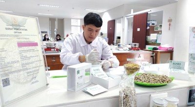 Granul Effervescent, Kopi Hijau Robusta Anti Obesitas