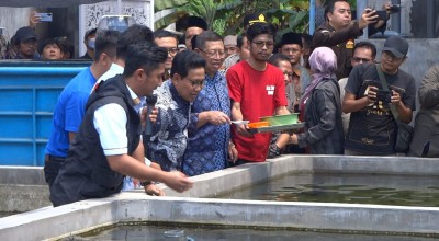 Kemendes PDTT Lepas Ekspor Perdana Ikan Mas Koki di Tulungagung