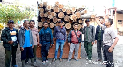 Puluhan Kayu Jati Ilegal di Banyuwangi Disita, 4 Orang Jadi Tersangka
