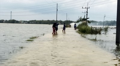 Ratusan Hektar Sawah di Bojonegoro Terendam Banjir, Petani Terancam Gagal Panen