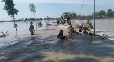 Banjir Luapan Bengawan Solo di Tuban: Sekolah Diliburkan, Sawah Warga Terendam
