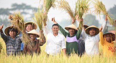 Kota Kediri Panen Raya Hasilkan Padi 8 Ton Per Hektare, Lampaui Nasional