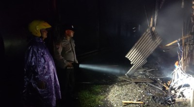 Blarrr! Kandang di Kediri Terbakar, Belasan Ribu Ayam Terpanggang