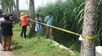 Pembuang Bayi Prematur di Tulungagung Ditangkap, Pelaku adalah Penemu