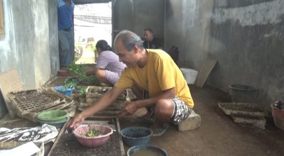 Pembibit Cabai Rawit Banjir Pesanan, Cuaca Ekstrem Landa Banyuwangi