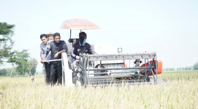 14.781 Hektare Padi di Kabupaten Kediri Siap Dipanen Maret ini