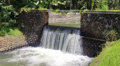 Cerita Istana Gaib di Saluran Irigasi Banyuwangi, Lokasi Tewasnya Bocah SD