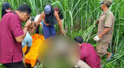 Wanita dan Bayi Ditemukan Tewas dalam Kebun Tebu di Kediri