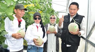Melon Hidroponik Lamongan Incar Pasar Ekspor