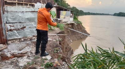 Tebing di Sungai Bengawan Solo Bojonegoro Longsor, Rumah Warga Terancam Amblas