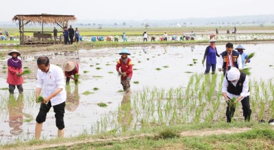 Dampingi Presiden Tanam Padi di Tuban, Khofifah Ingatkan Kepala Daerah Bersiap Hadapi Perubahan Iklim