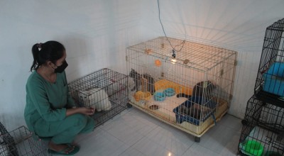 Jastip Hewan di Banyuwangi Laris Manis Jelang Lebaran 2023