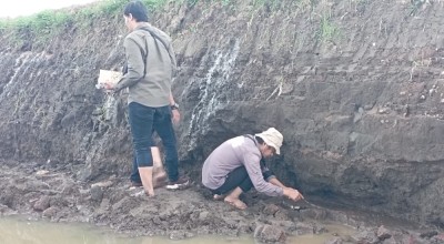 Reruntuhan Situs Kuno Ditemukan Warga Banyuwangi di Areal Tambang Galian C