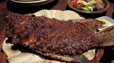 Rekomendasi Ikan Gurami Bakar Lezat di Jombang, Yuk Cobain Buka Puasa di Rumah Makan Ini