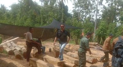 Puluhan Kayu Jati Hasil Pembalakan Liar Diamankan Perhutani Banyuwangi
