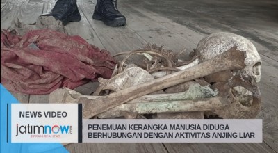 Penemuan Kerangka Manusia Diduga Berhubungan Dengan Kawanan Anjing Liar