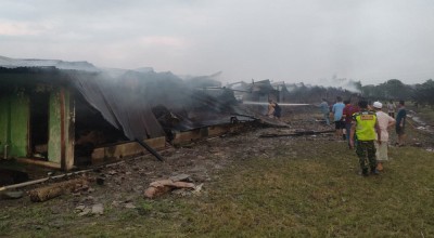 Kandang PT Charoen Pokphand Jaya Farm 2 Jombang Terbakar, 19 Ribu Ayam Terpanggang
