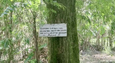 4 Tempat Angker di Jombang, Berani Uji Nyali?