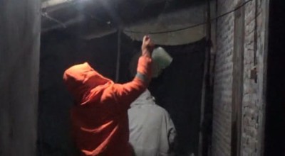 Tawon Vespa Serang Warga di Jombang, Damkar Turun Tangan