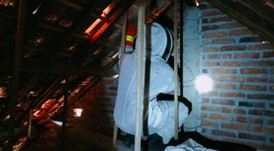 Penampakan Petugas Damkar Bak Astronot saat Evakuasi Sarang Tawon Vespa di Banyuwangi