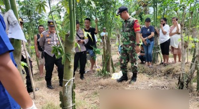 Buruh Tani di Banyuwangi Ditemukan Tewas dalam Kebun Buah Naga Milik Bosnya