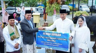 Tiga Ekor Sapi dari Keluarga SBY Diserahkan ke Masjid Agung Darul Falah Pacitan
