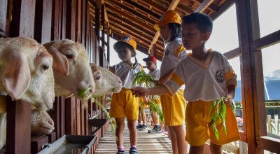 Destinasi Wisata Baru di Surabaya, Mini Agrowisata Favorit Anak-anak