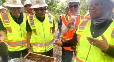 Melihat Budi Daya Lebah Trigona di Lahan Pascatambang Semen Baturaja