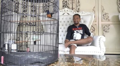 Cara Ampuh Atasi Murai Batu Mental Drop ala Om Sanda Umpamane Kicau