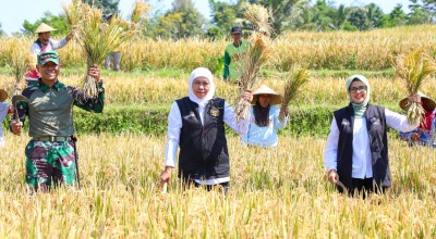 Gubernur Khofifah di Momen Hari Krida Pertanian: Petani Harus Sejahtera