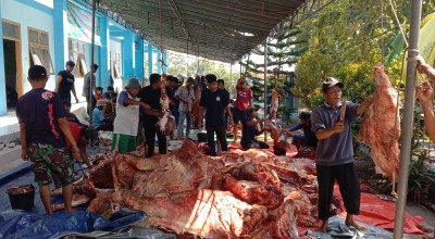 Disnak Bangkalan Pantau Penyembelihan Hewan Kurban, Pastikan Bebas PMK dan LSD