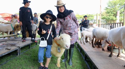 Banyuwangi Livestock Contest Pamerkan Ratusan Ternak Unggulan