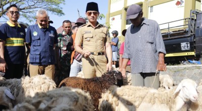 Mas Ipin Cek Harga Sembako dan Hewan Kurban di Trenggalek, Stabil Lur...