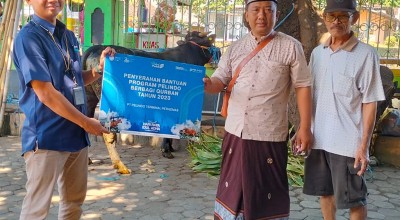 Pelindo Petikemas Salurkan 180 Ekor Hewan Kurban