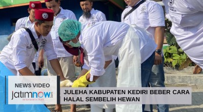 Video: Juleha Kabupaten Kediri Beber Cara Halal Sembelih Hewan