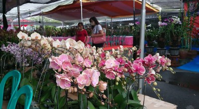 Tulungagung Orchid Show 2023, Wabup Borong Anggrek untuk Istri, Ciiyyeee...