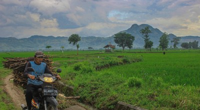 Lahan Pertanian Pangan Berkelanjutan di Tulungagung Menyusut Ribuan Hektare