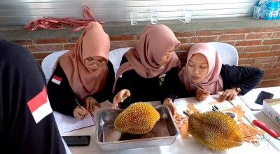 Dispertan Trenggalek Gelar Kontes Durian Lokal Unggulan